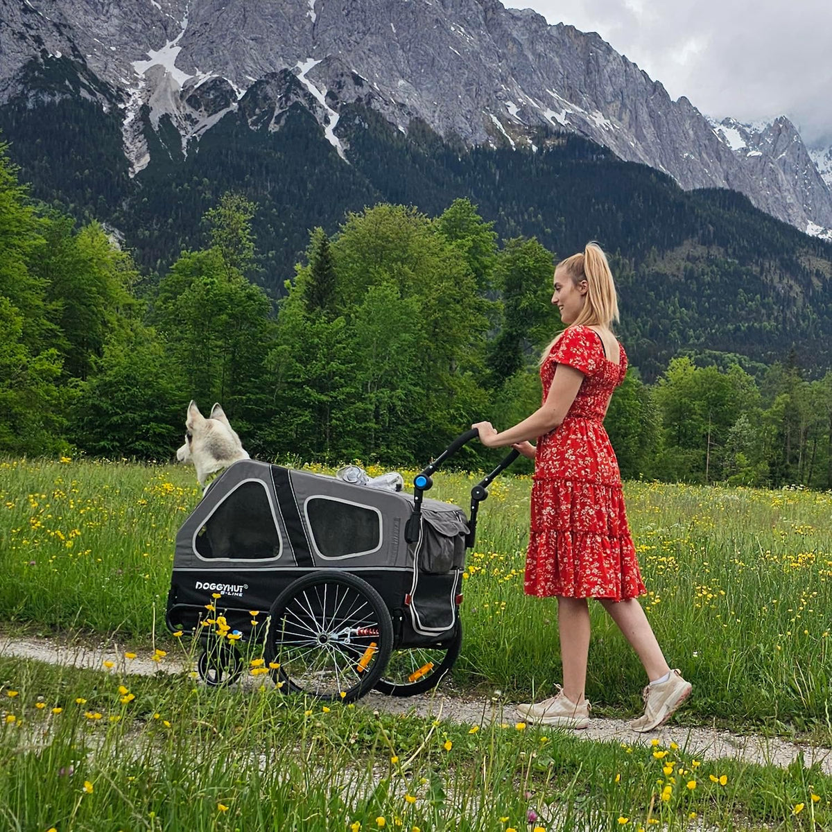 Doggyhut S-Line XL Hundeanhänger & Hundebuggy mit Federung 2 in 1 Hunde Fahrradanhänger Jogger gefedert bis 45 kg